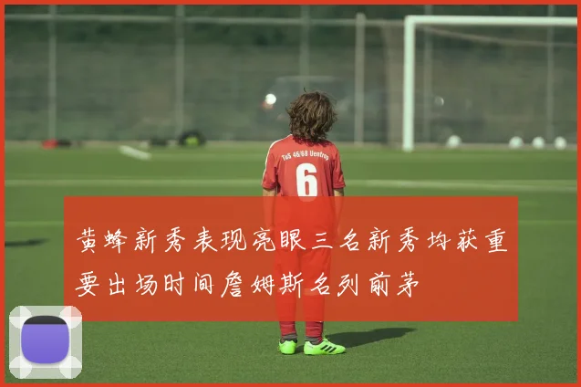黄蜂新秀表现亮眼三名新秀均获重要出场时间詹姆斯名列前茅