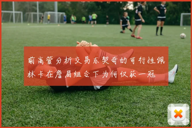 前高管分析交易东契奇的可行性佩林卡在詹眉组合下为何仅获一冠