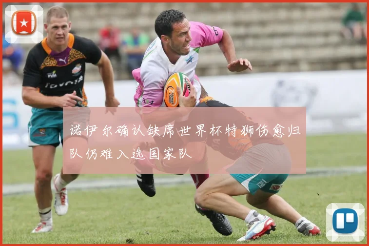 诺伊尔确认缺席世界杯特狮伤愈归队仍难入选国家队