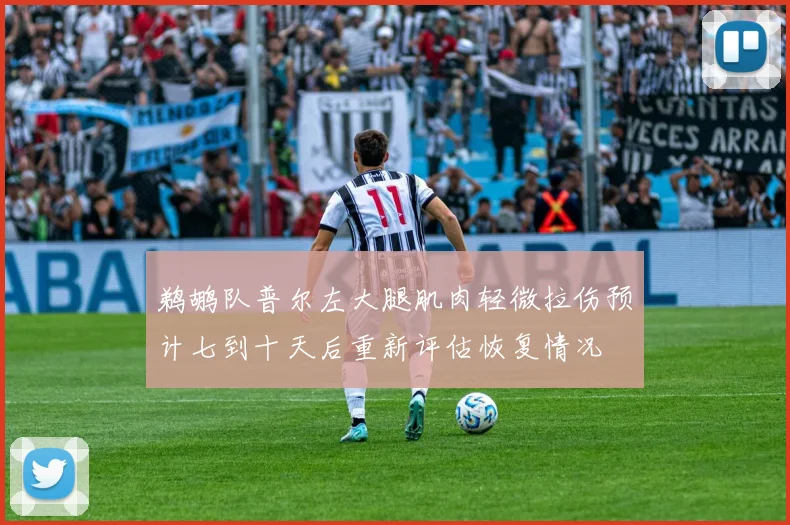 鹈鹕队普尔左大腿肌肉轻微拉伤预计七到十天后重新评估恢复情况